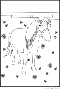 malvorlage-pony-in-blumenwiese