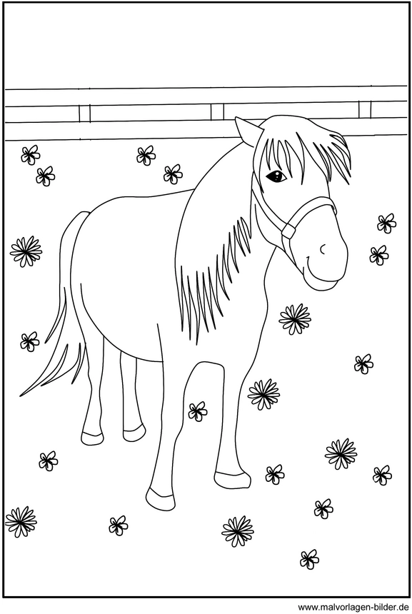 malvorlage-pony-in-blumenwiese