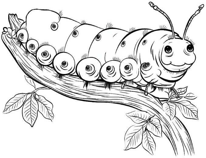 malvorlage-raupe-auf-ast-mit-blaettern