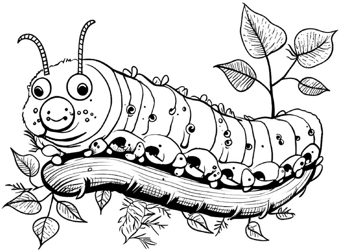 malvorlage-raupe-auf-einem-zweig-mit-kleinen-raupen