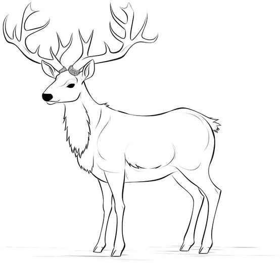 malvorlage-rehbock-geweih-ausmalen