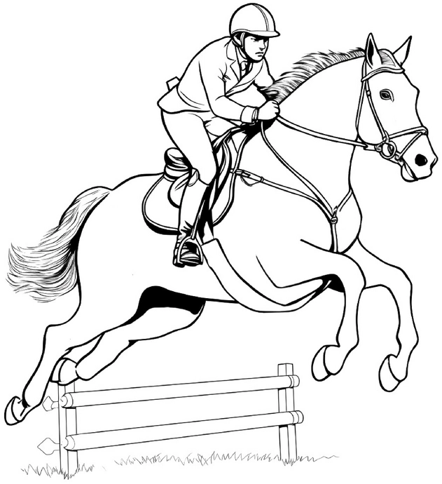malvorlage-reiter-pferd-sprung