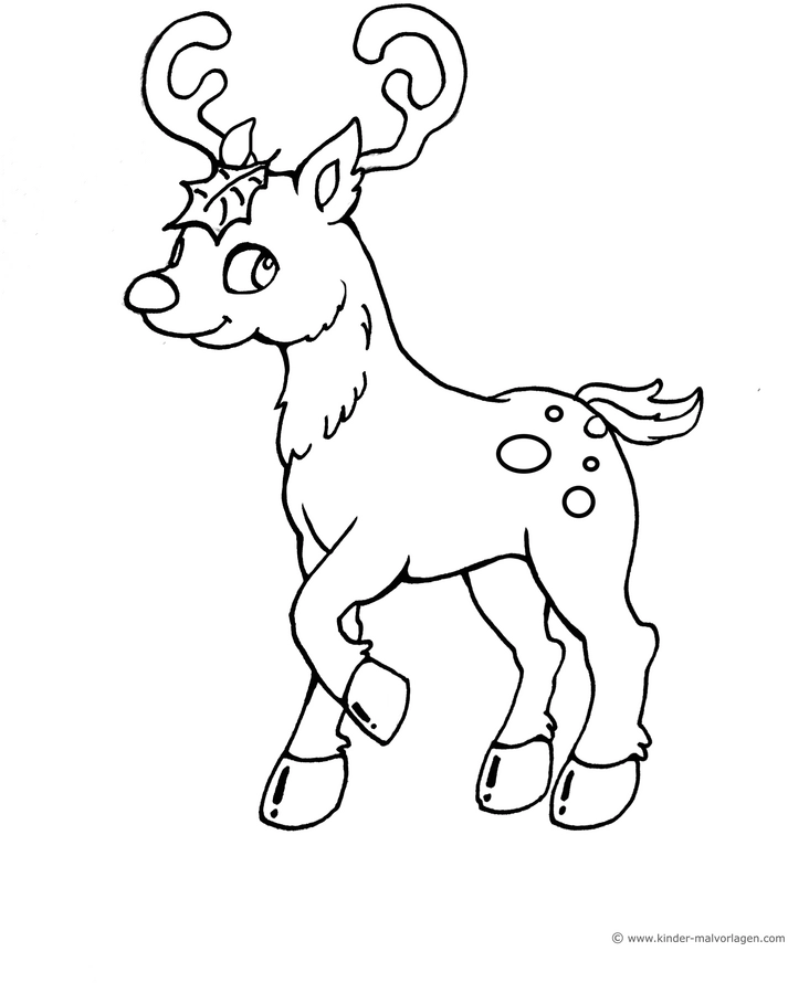 malvorlage-rentier-mit-grossen-augen-und-gechwungenem-geweih