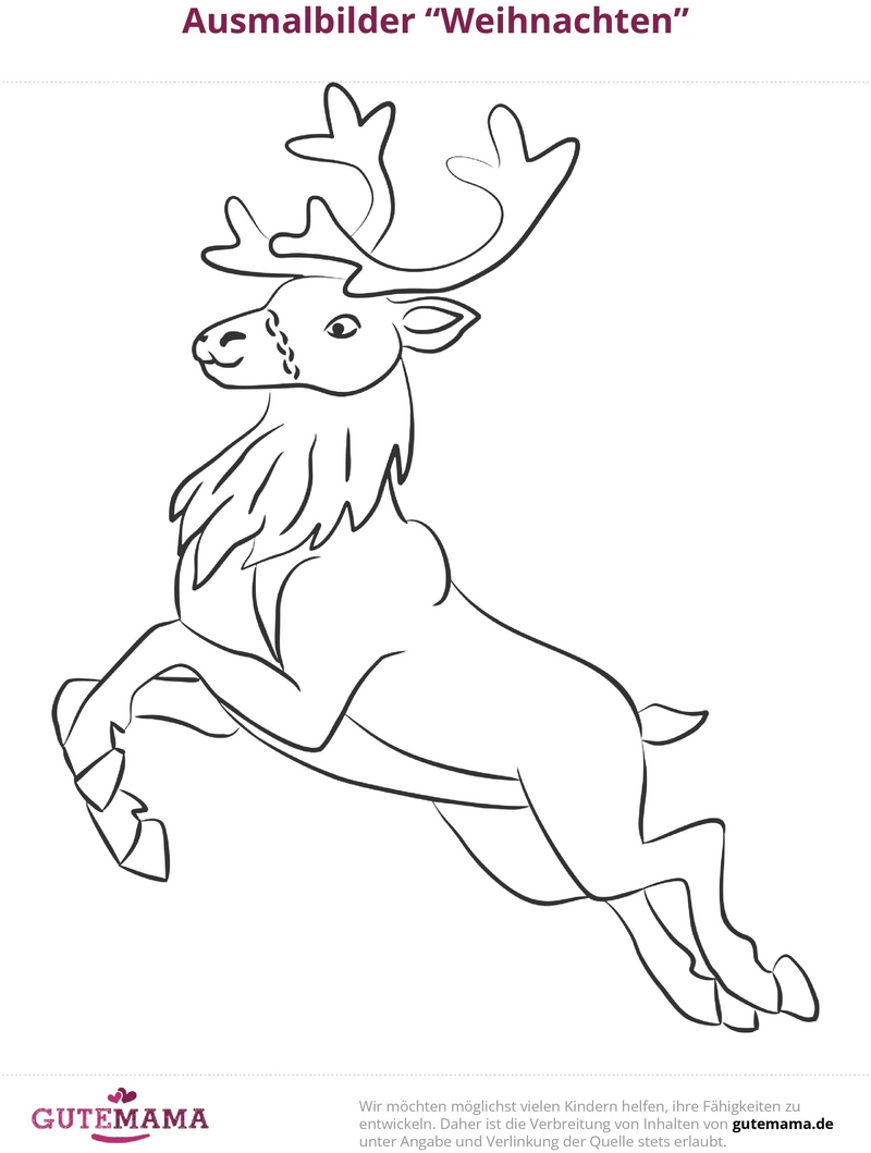 malvorlage-rentier-zu-weihnachten-ausmalen