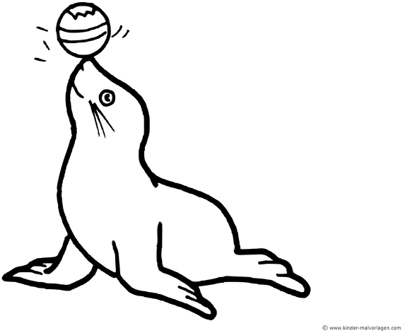 malvorlage-robbe-mit-ball