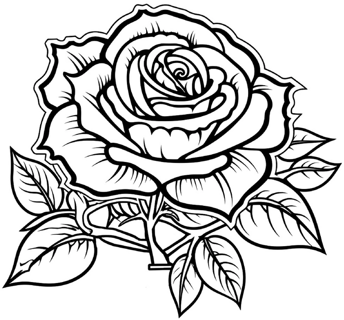 malvorlage-rose-ausmalbild-blumen