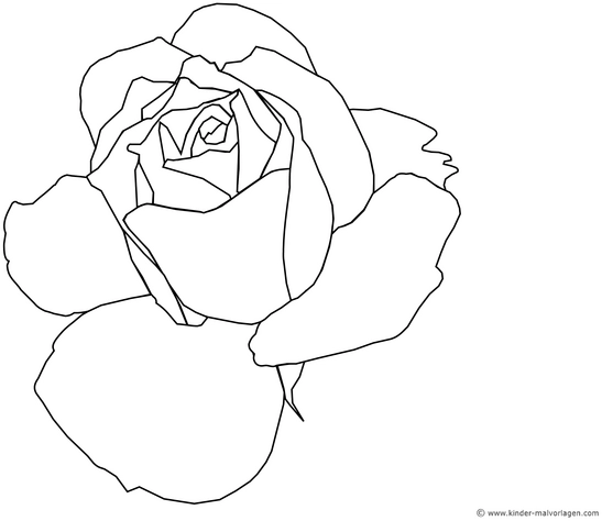 malvorlage-rose-ausmalbild-fuer-kreative-koepfe