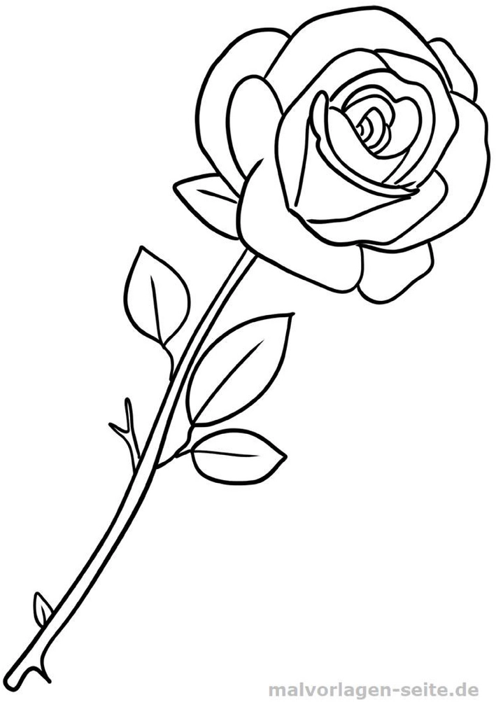 malvorlage-rose-ausmalbild-fuer-kreative