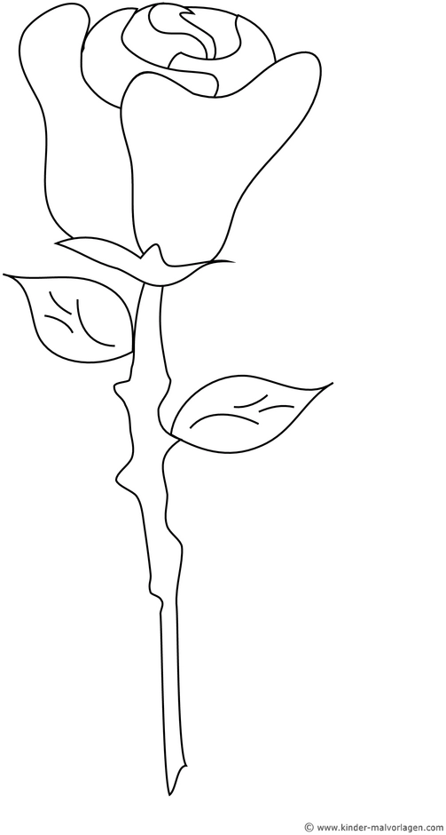 malvorlage-rose-ausmalen