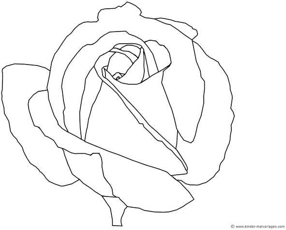 malvorlage-rose-geschwungene-linien-und-bluetenblaetter