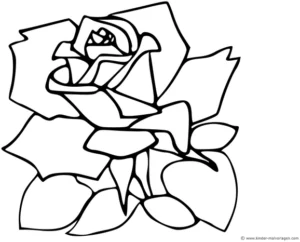 malvorlage-rose-kreatives-ausmalen