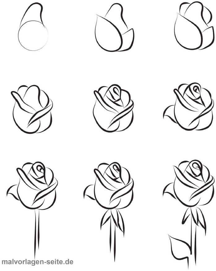 malvorlage-rose-schritt-fuer-schritt-zeichnen