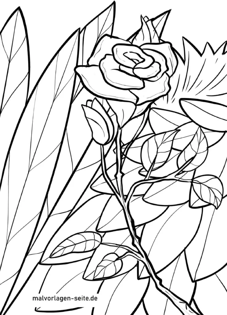 malvorlage-rose-und-pflanzen-ausmalen