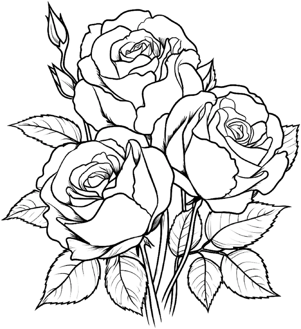 malvorlage-rosen-bouquet-ausmalen
