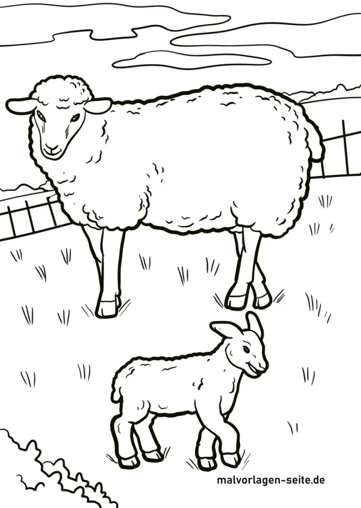 malvorlage-schaf-und-lamm-auf-der-wiese
