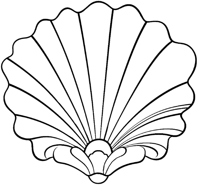 malvorlage-schale-fuer-kinder-und-erwachsene
