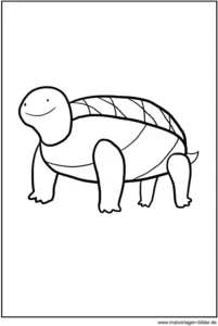 malvorlage-schildkroete-ausmalbild