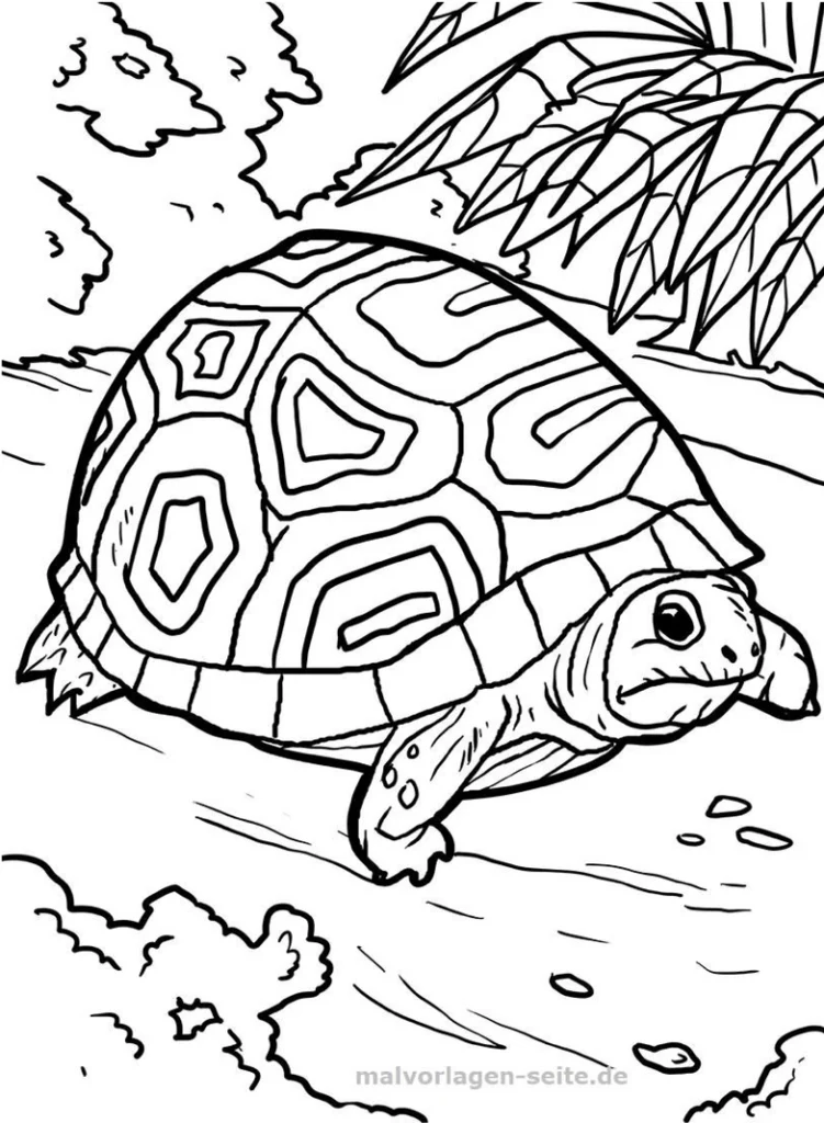 malvorlage-schildkroete-mit-geometrischem-muster