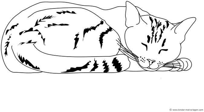 malvorlage-schlafende-katze-mit-details
