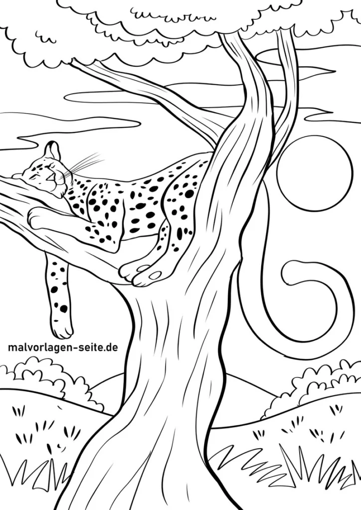 malvorlage-schlafender-leopard-auf-baum-mit-naturmotiv
