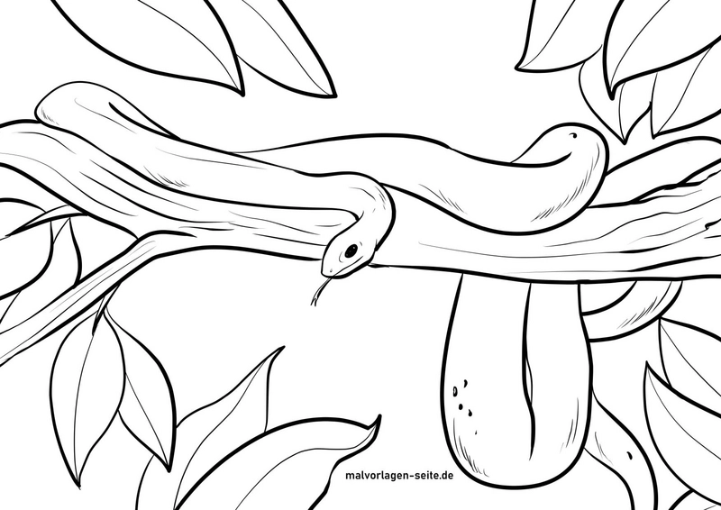 malvorlage-schlange-auf-ast-umgeben-von-blaettern