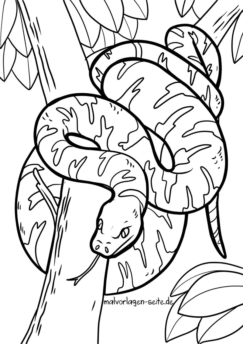 malvorlage-schlange-auf-baum-entdecken