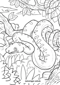 malvorlage-schlange-im-gruenen