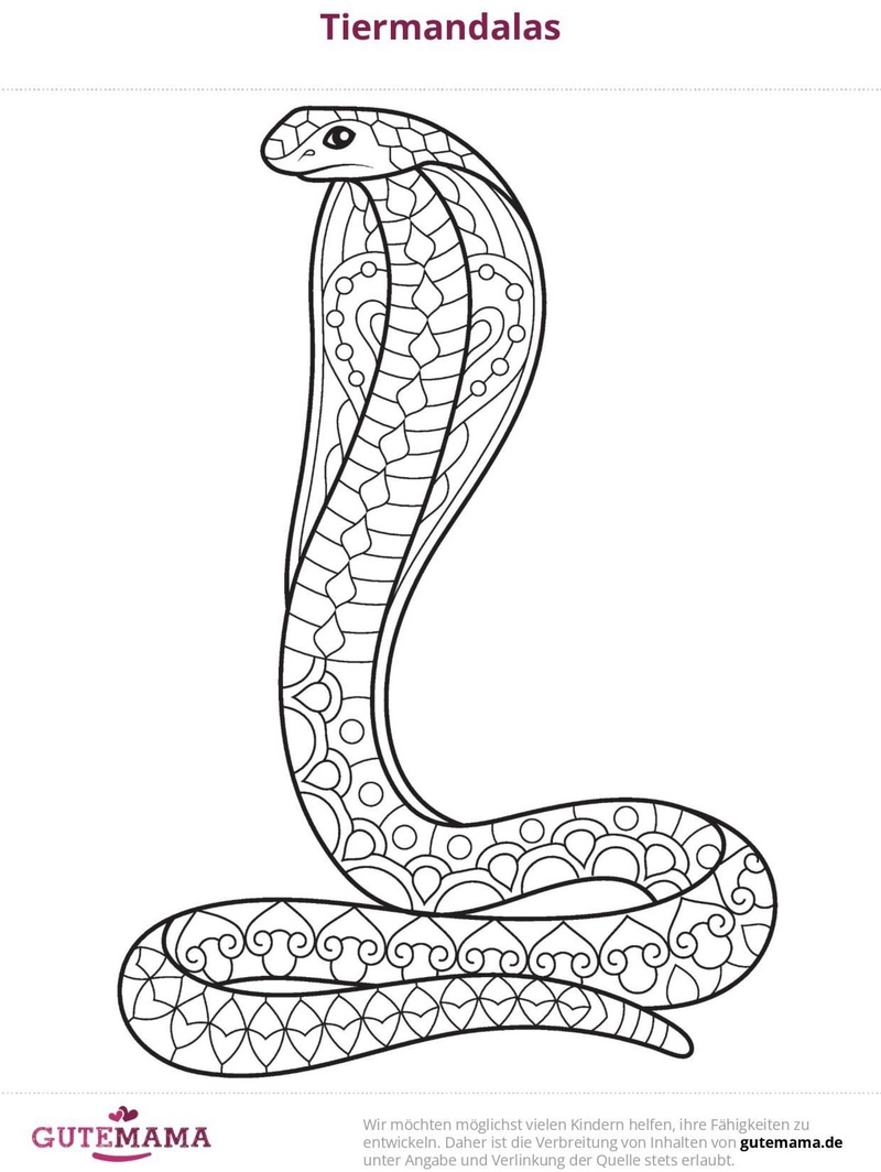 malvorlage-schlange-im-mandala-stil