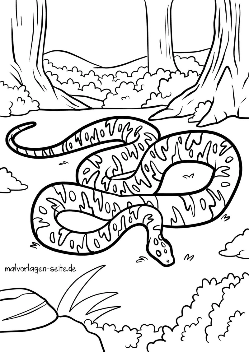 malvorlage-schlange-in-der-natur