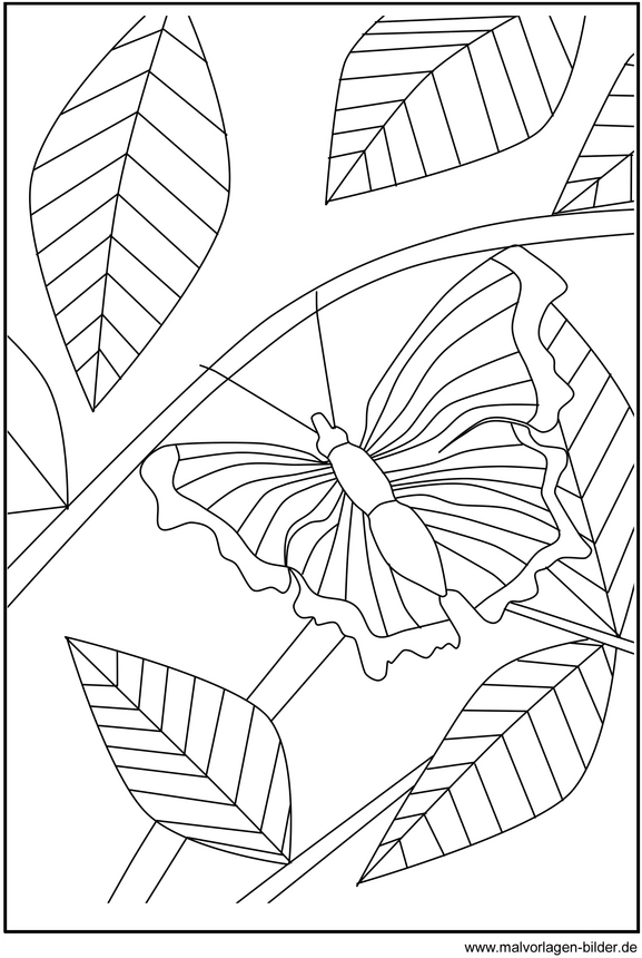 malvorlage-schmetterling-auf-einer-pflanze