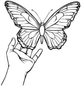 malvorlage-schmetterling-auf-hand