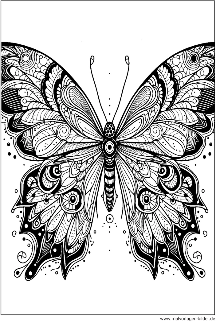 malvorlage-schmetterling-kreativ-ausmalen