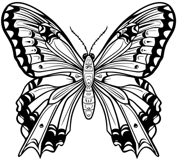 malvorlage-schmetterling-mit-detailreichen-fluegeln-und-naturinspirierten-mustern