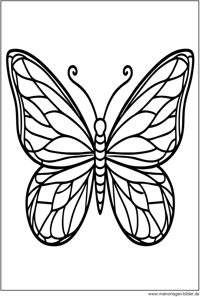 malvorlage-schmetterling-mit-filigraenen-fluegeln