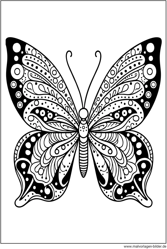 malvorlage-schmetterling-mit-filigranen-mustern