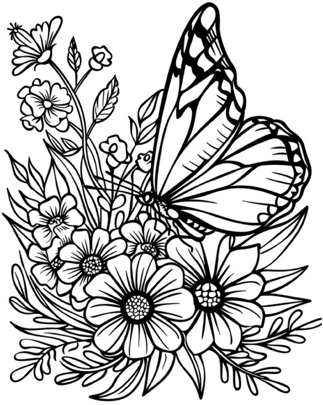 malvorlage-schmetterling-und-blumenwiese