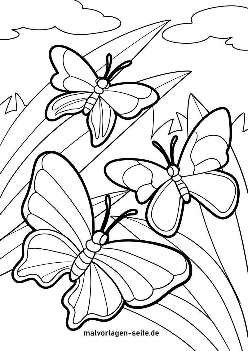 malvorlage-schmetterlinge-in-der-natur