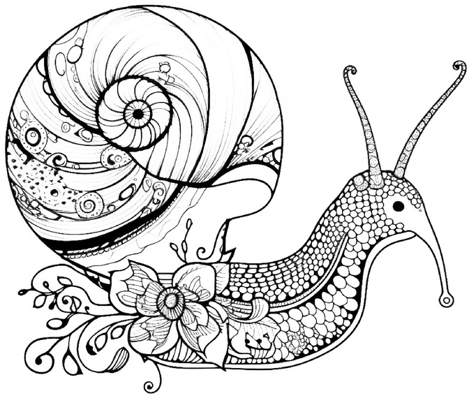malvorlage-schnecke-mandala-mit-blumen
