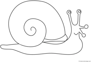 malvorlage-schnecke-mit-spiralförmigem-gehaeuse