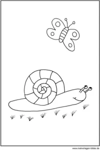 malvorlage-schnecke-und-schmetterling