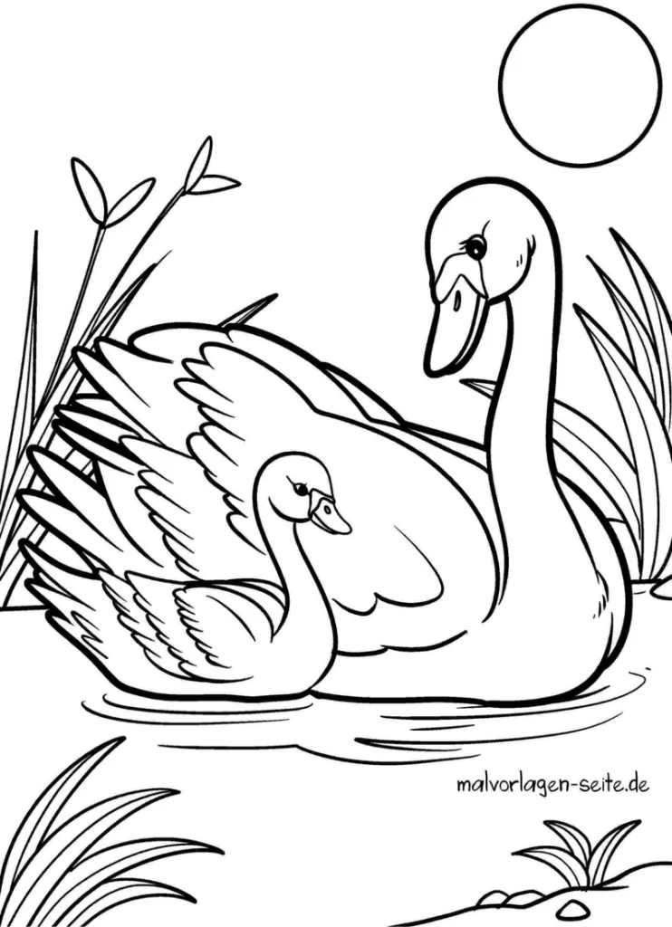 malvorlage-schwaene-im-see-mit-kueken