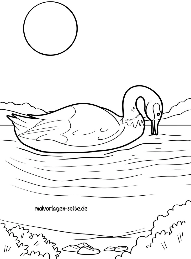malvorlage-schwan-auf-wasser-mit-natur