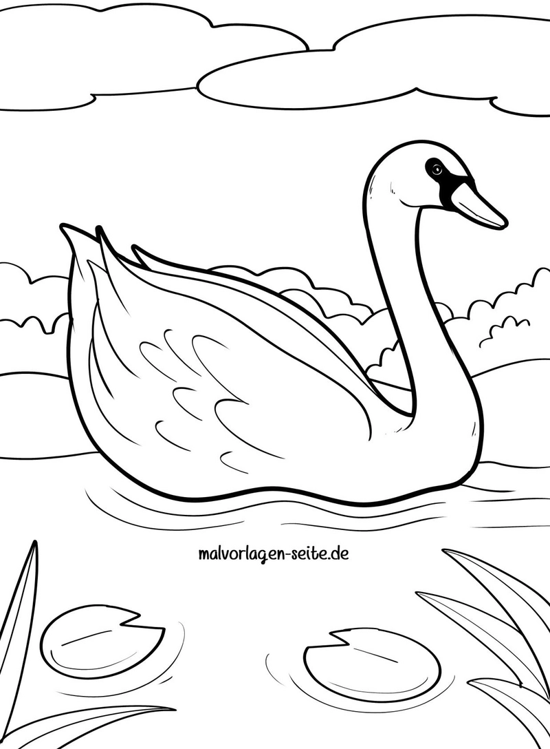 malvorlage-schwan-mit-seerosen-und-wellen