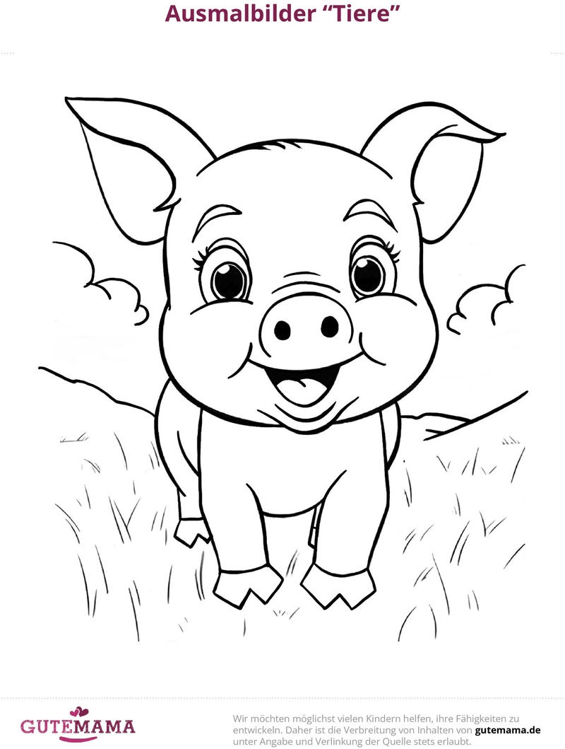 malvorlage-schweinchen-auf-der-wiese