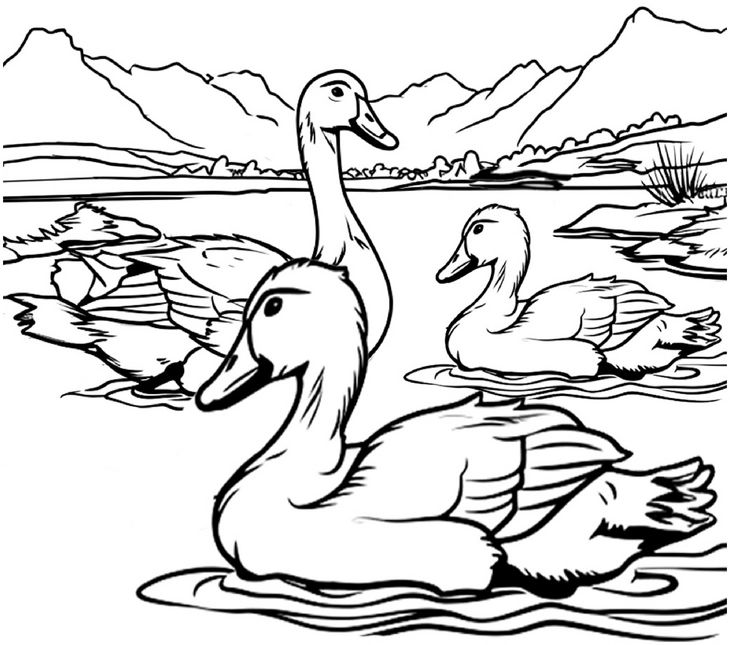 malvorlage-schwimmende-enten-natur-landschaft