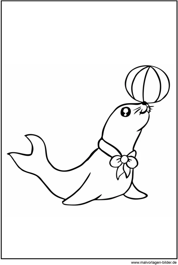 malvorlage-seehund-mit-ball