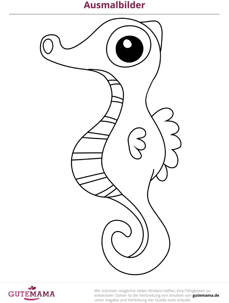 malvorlage-seepferdchen-ausmalbild