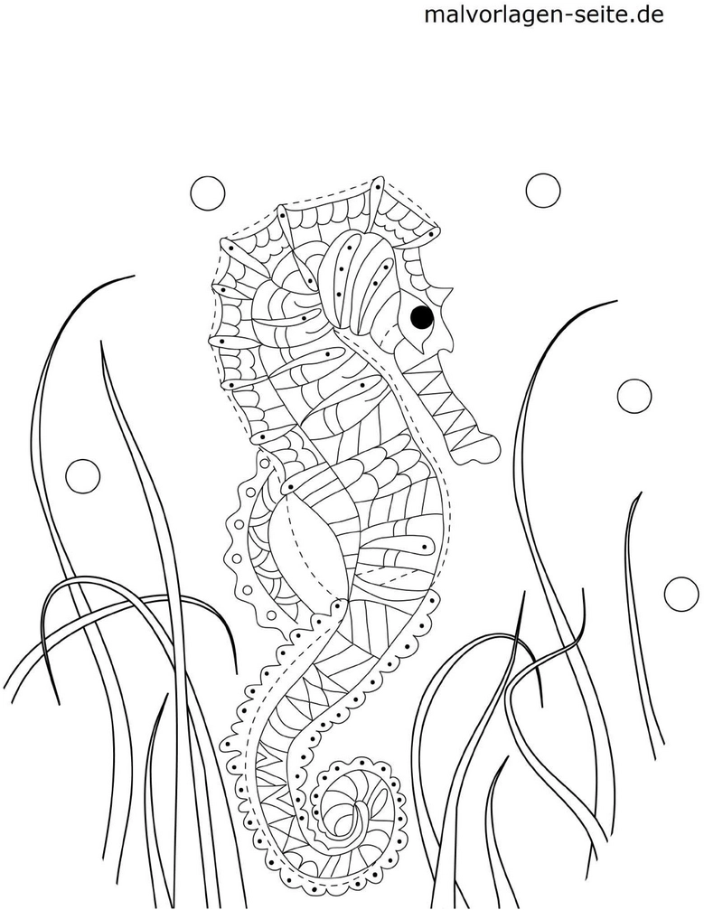 malvorlage-seepferdchen-mit-wasserpflanzen