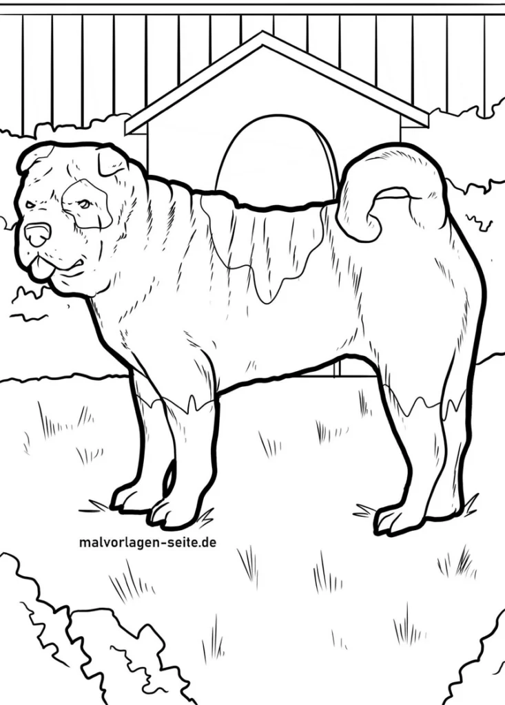 malvorlage-shar-pei-hund-vor-huette
