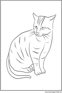 malvorlage-sitzende-katze-ausmalen